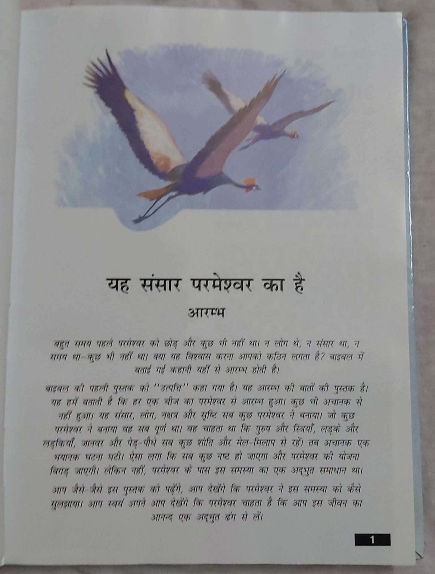 The Holy Hindi Children’s Bible , Bible Children’s , Jesus Storybook Bible , Hardcover | Kids Bible, Children's Bible | Hindi Holy Bible