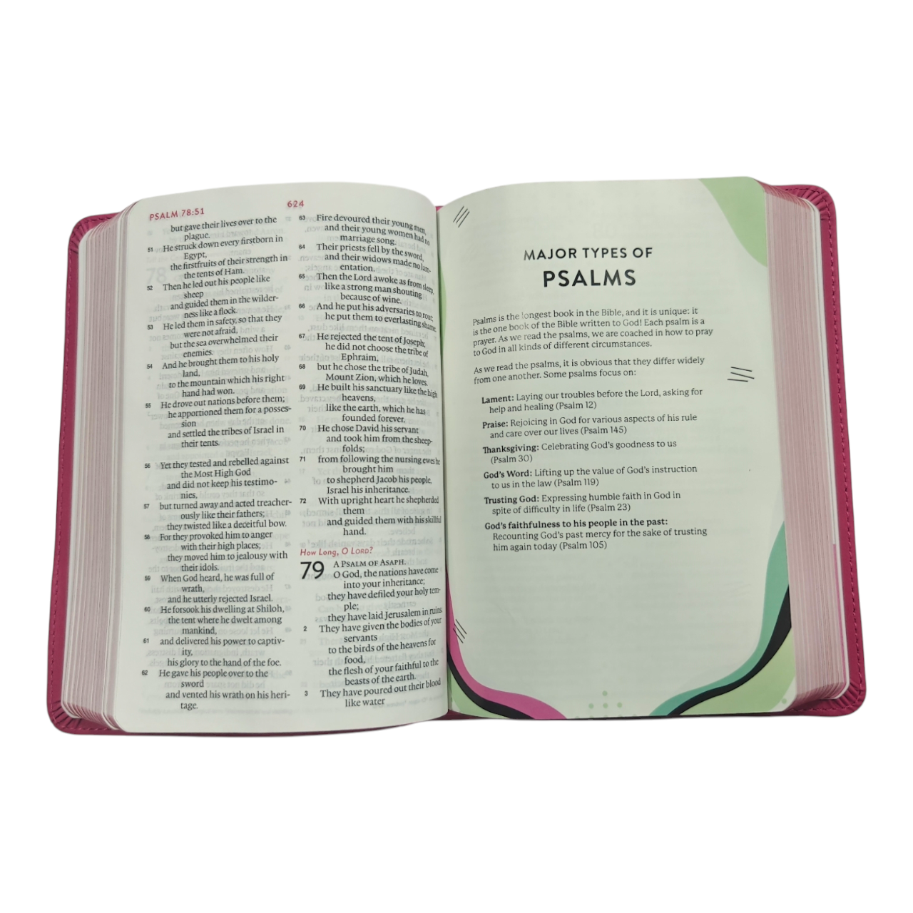 ESV Kid's Bible, Compact, TruTone, Forest Design | Kids Bible, Children's Bible | Holy Bible