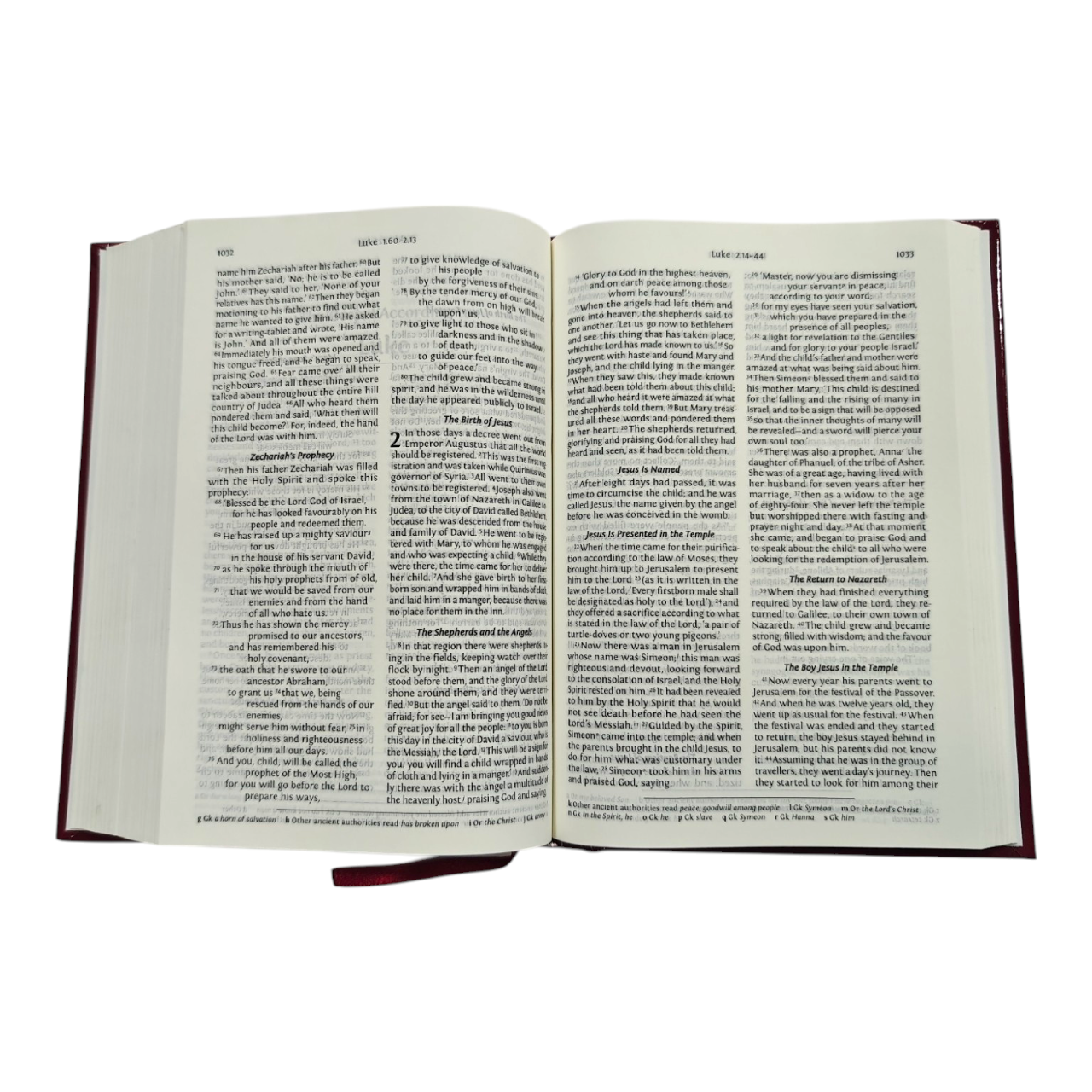 NRSV Bible with Concordance, New Revised Standard Version (Old & New Testament) | Bible Commentary, Bible Reference | English Christian Book