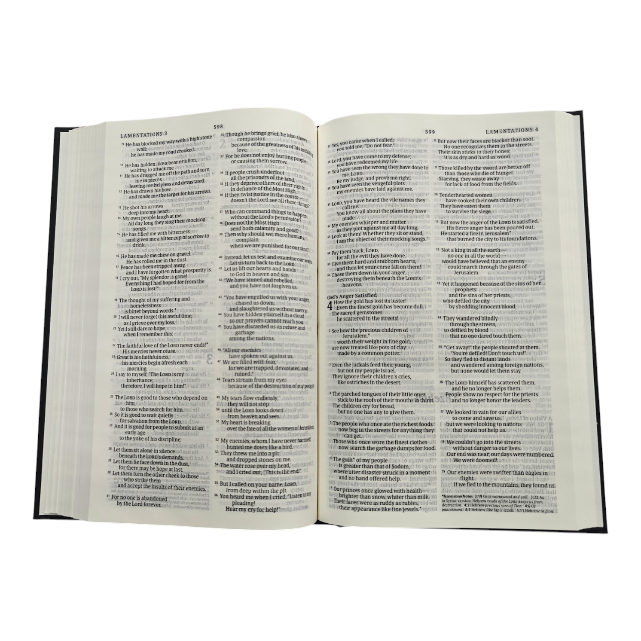NLT Holy Bible, New Living Translation, Clear, Accurate & Easy-to-Read Bible for Daily Reading & Study (Complete Old & New Testament) | English