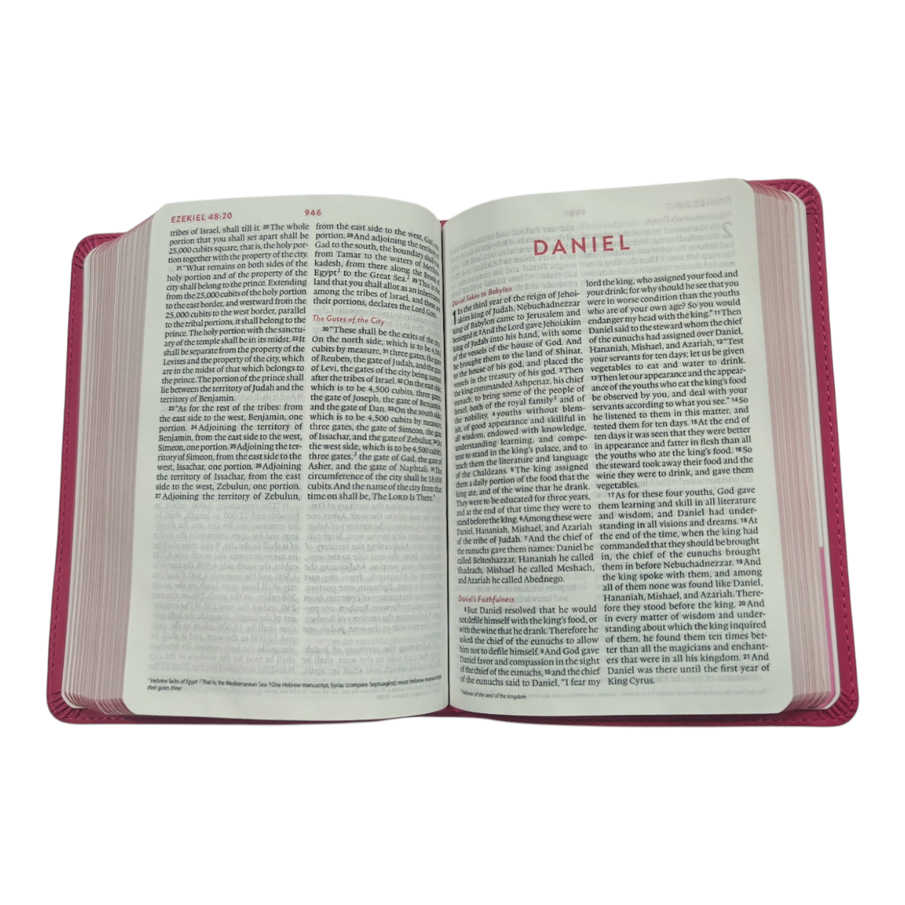 ESV Kid's Bible, Compact, TruTone, Forest Design - A Durable and Portable First Bible for Kids | Kids Bible, Children's Bible | Holy Bible