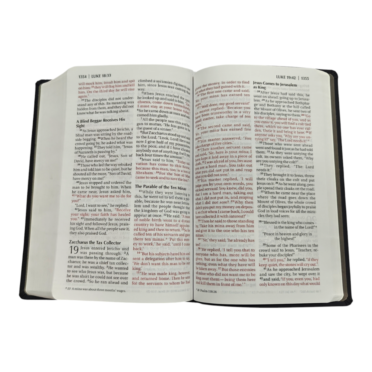 NIV ReadEasy Bible, Large Print, Leathersoft, Red Letter Edition, Complete New International Version with Lay-Flat Cover & 10.5pt Type | English