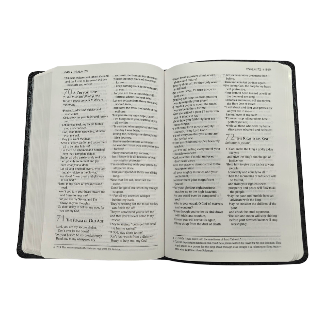 The Passion Translation New Testament Masterpiece Edition | English Bible, Holy Bible