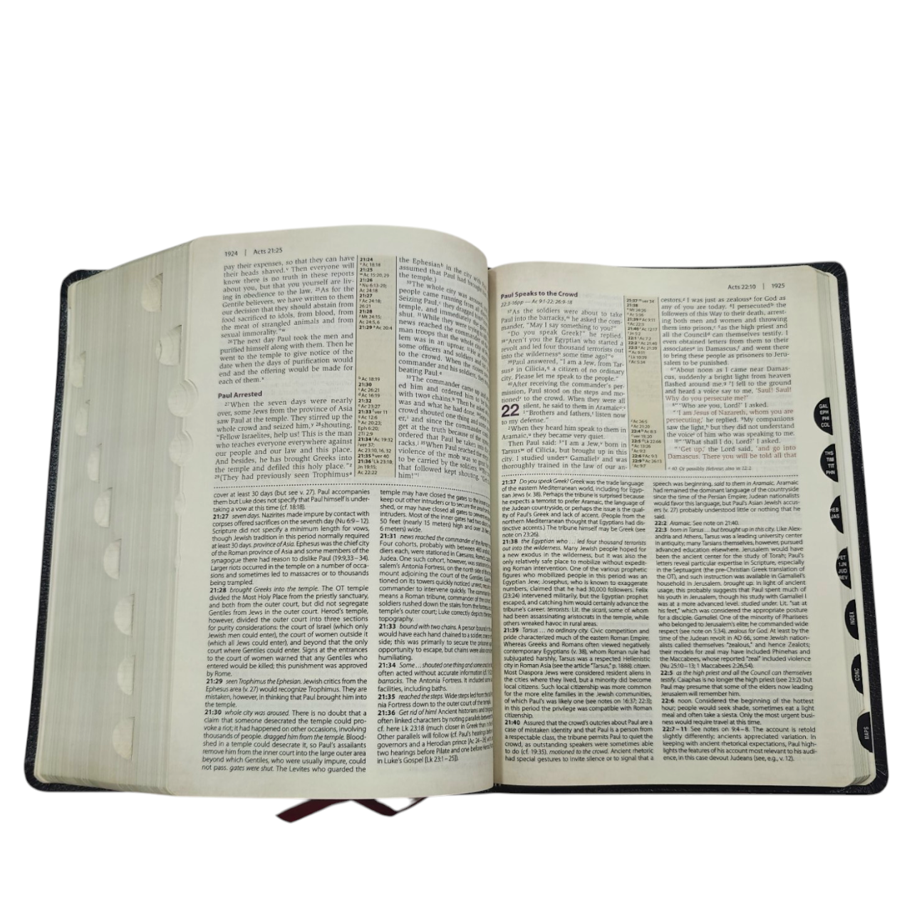 NIV Cultural Backgrounds Study Bible New International Version | Study Bible, Reference Bible | Holy Bible