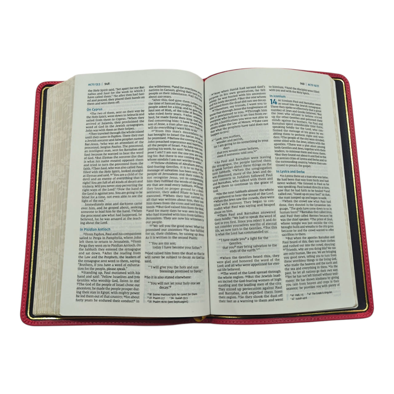 NIV Thinline Bible, Premier Collection, Premium Goatskin Leather, Comfort Print | English Bible, Holy Bible