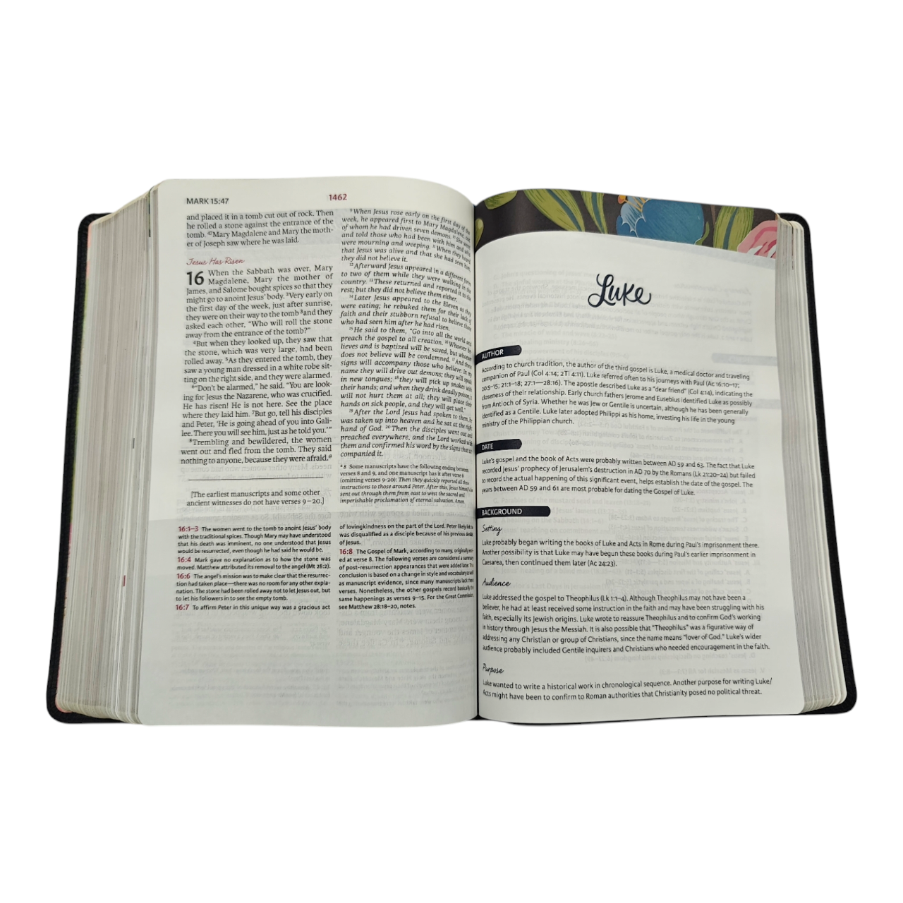 NIV The Woman's Study Bible, Full-Color, Red Letter | Study Bible, Reference Bible | Holy Bible