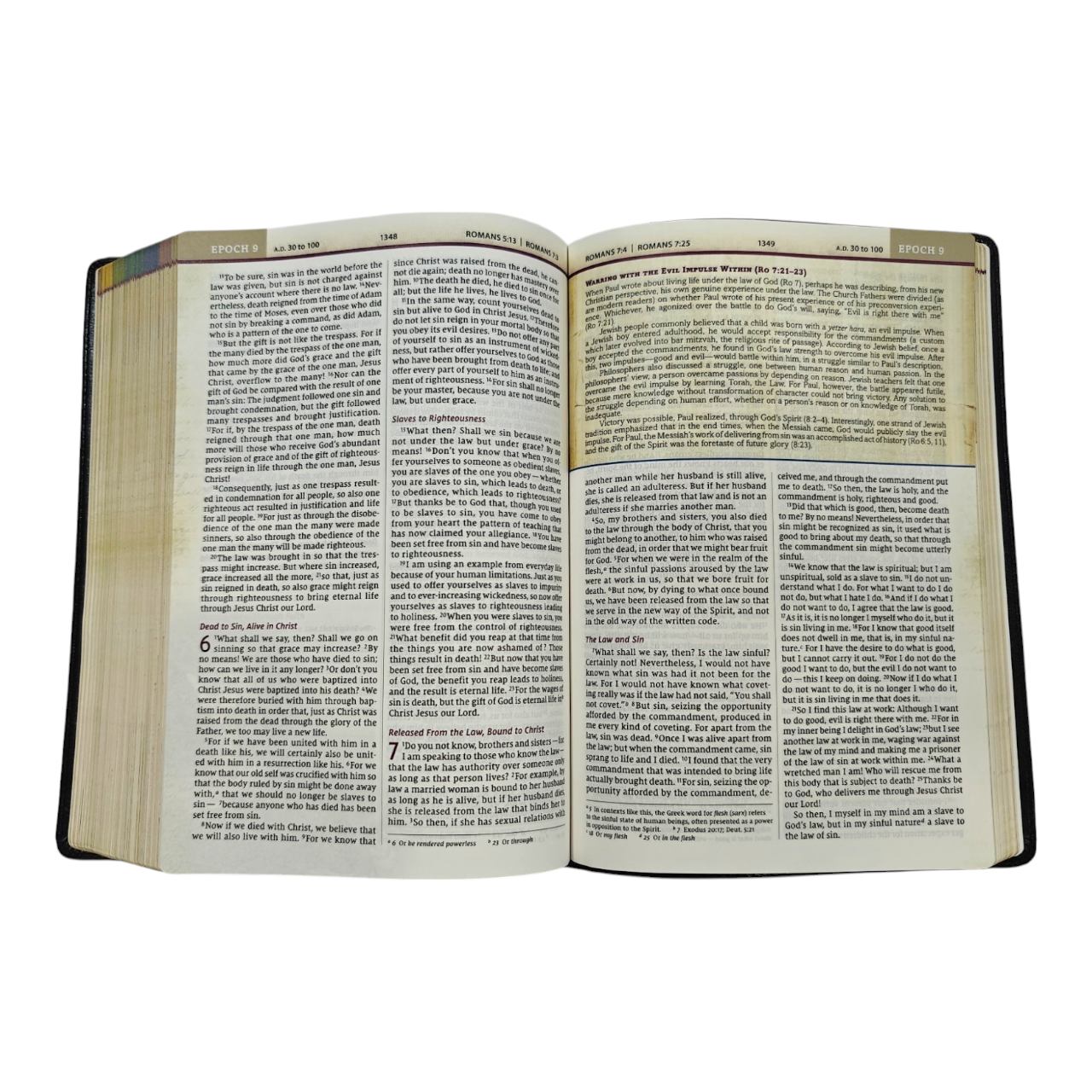 NIV, Chronological Study Bible, Hardcover, Comfort Print | Study Bible, Reference Bible | Holy Bible