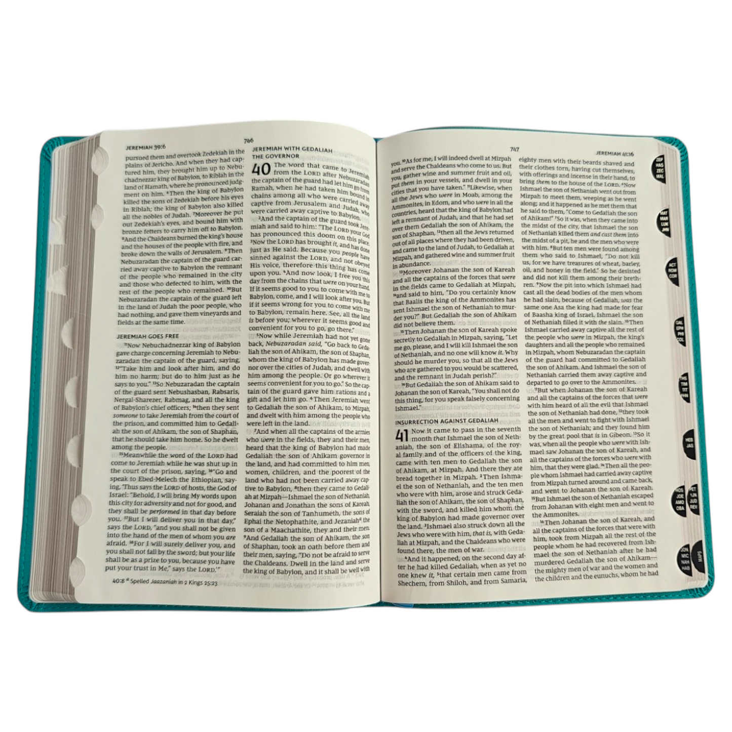 NKJV Verse Art Thinline Bible | English Bible, Holy Bible