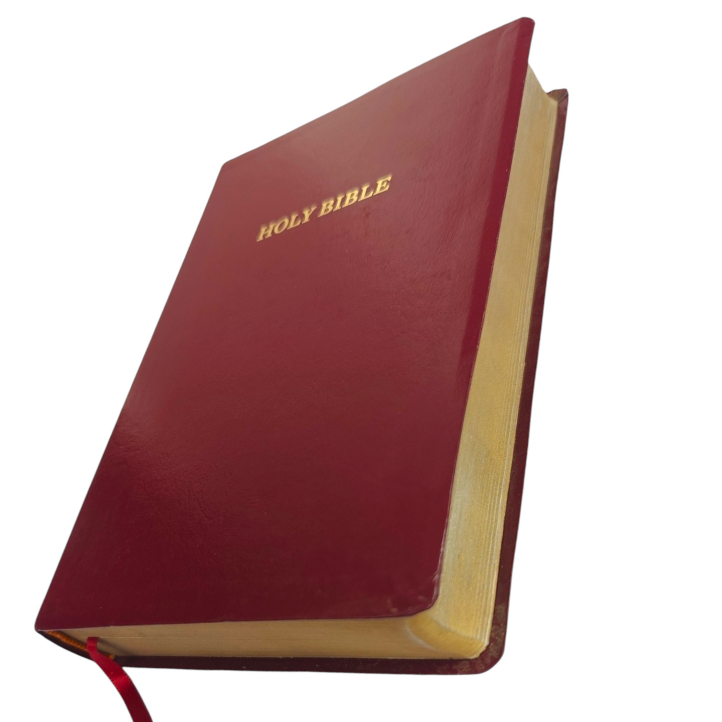 KJV Personal Size Giant Print Reference Bible, Comfort Print | Study Bible, Reference Bible | Holy Bible
