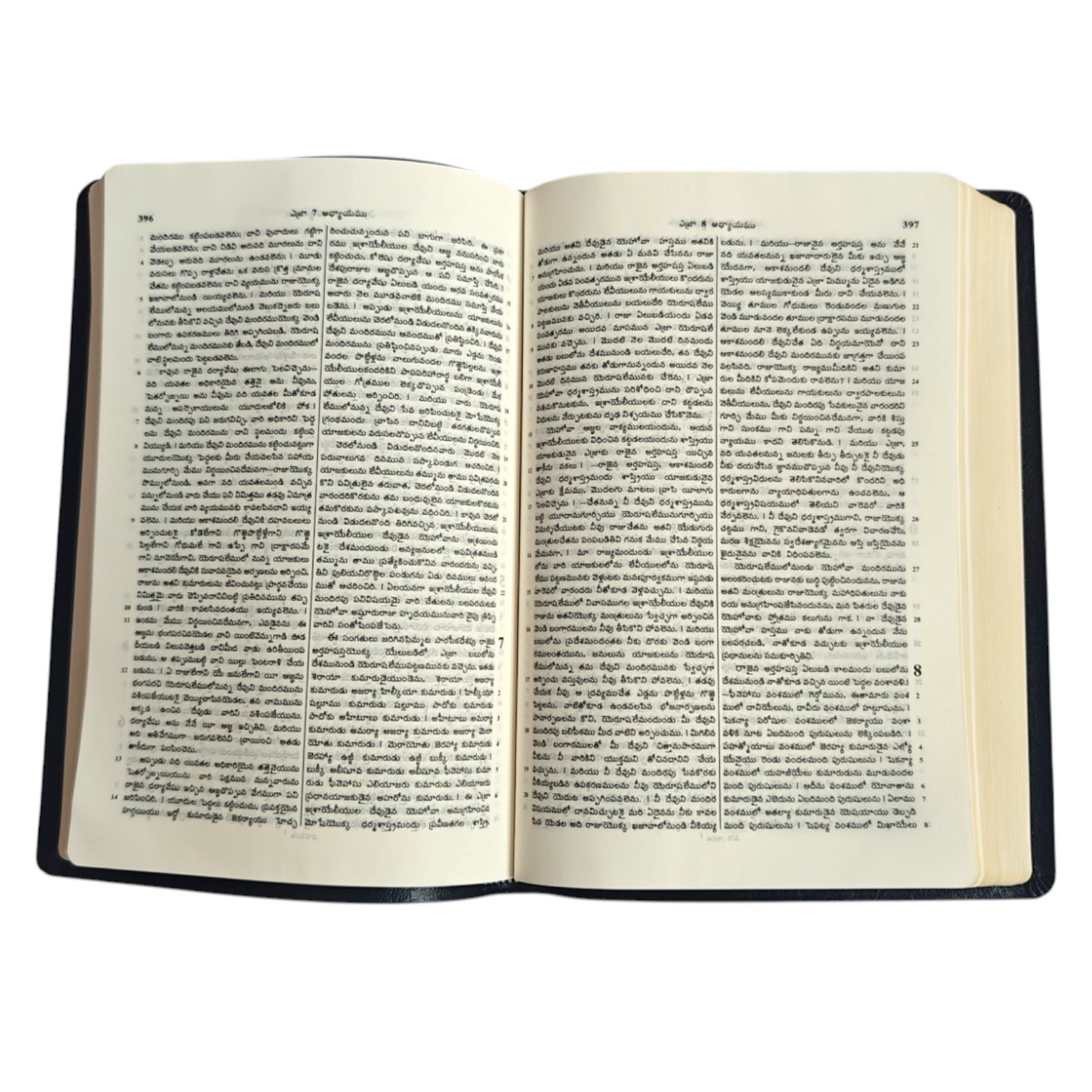 Telugu Holy Bible (Royal Size) | Regional Bible, Holy Bible