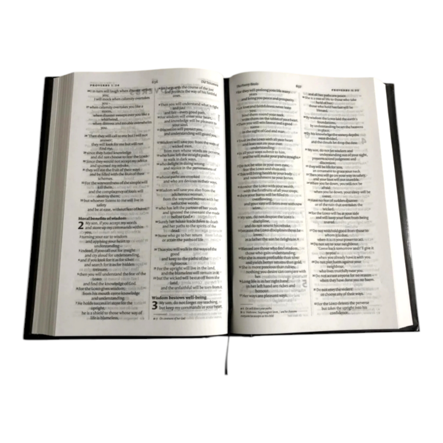 NIV Holy Bible Compact New International Version (Hardcover, BSI) | English Bible, Holy Bible