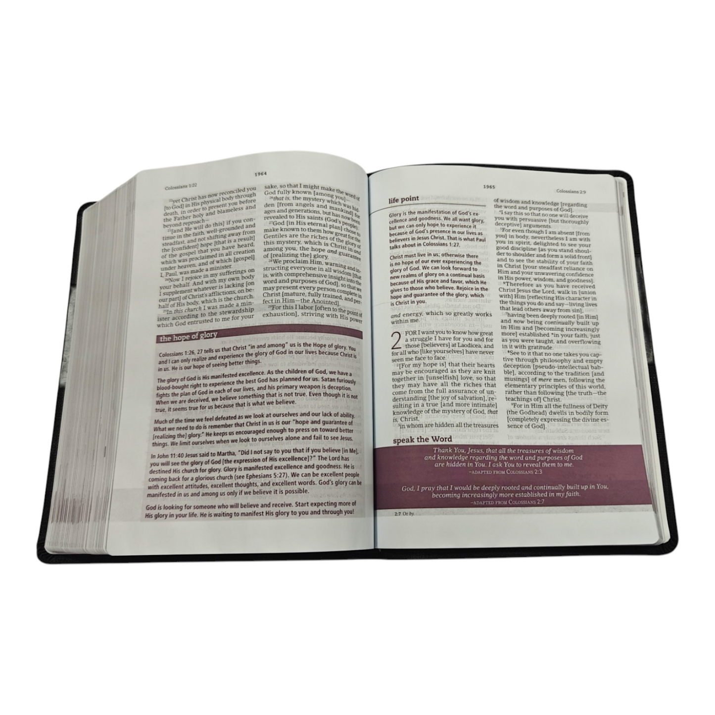 The Everyday Life Bible Large Print Black Leatherluxe: The Power of God's Word for Everyday Living - Leather | Christian Living, Spiritual Growth |