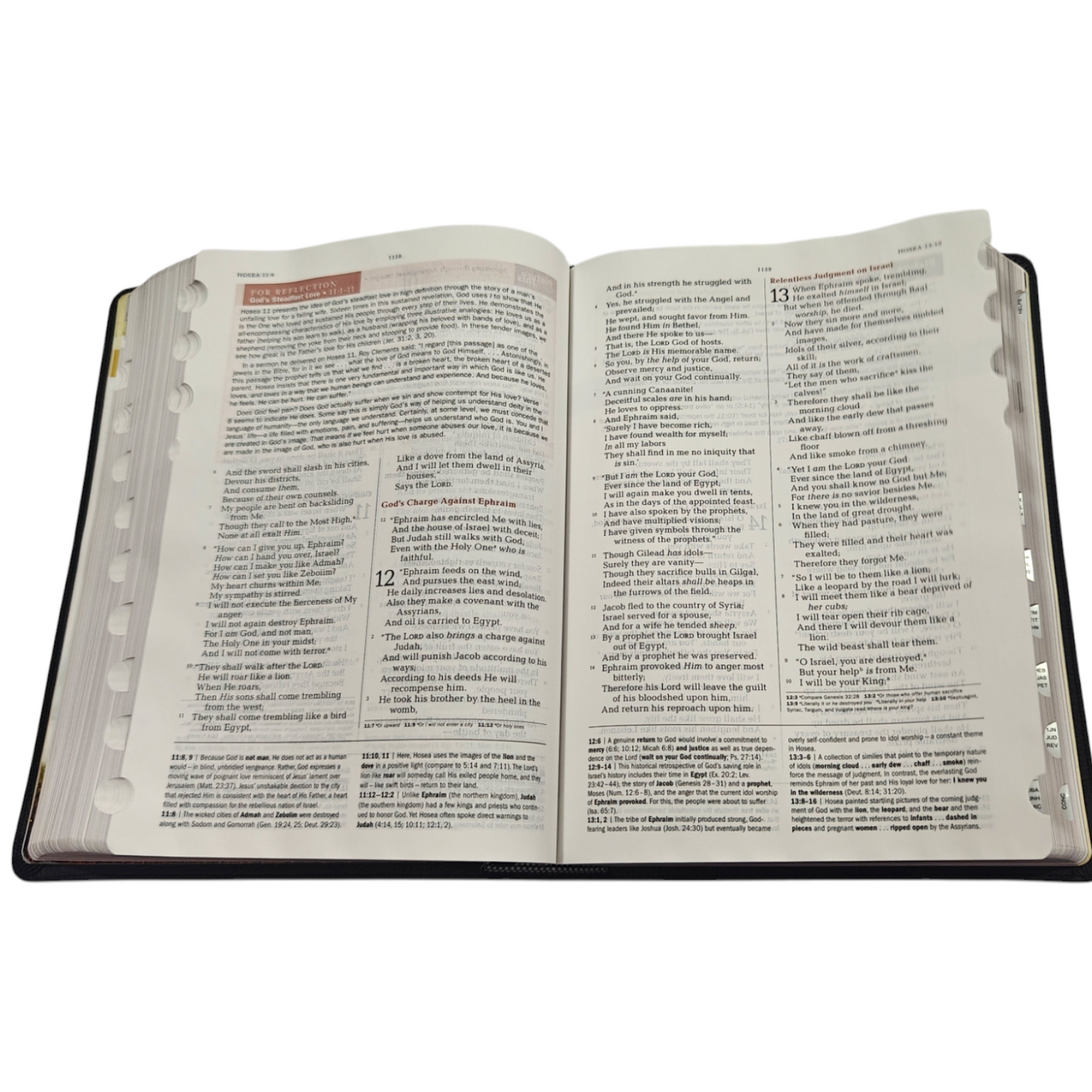 The Jeremiah Study Bible NKJV Jacketed Hardcover | Study Bible, Reference Bible | Holy Bible