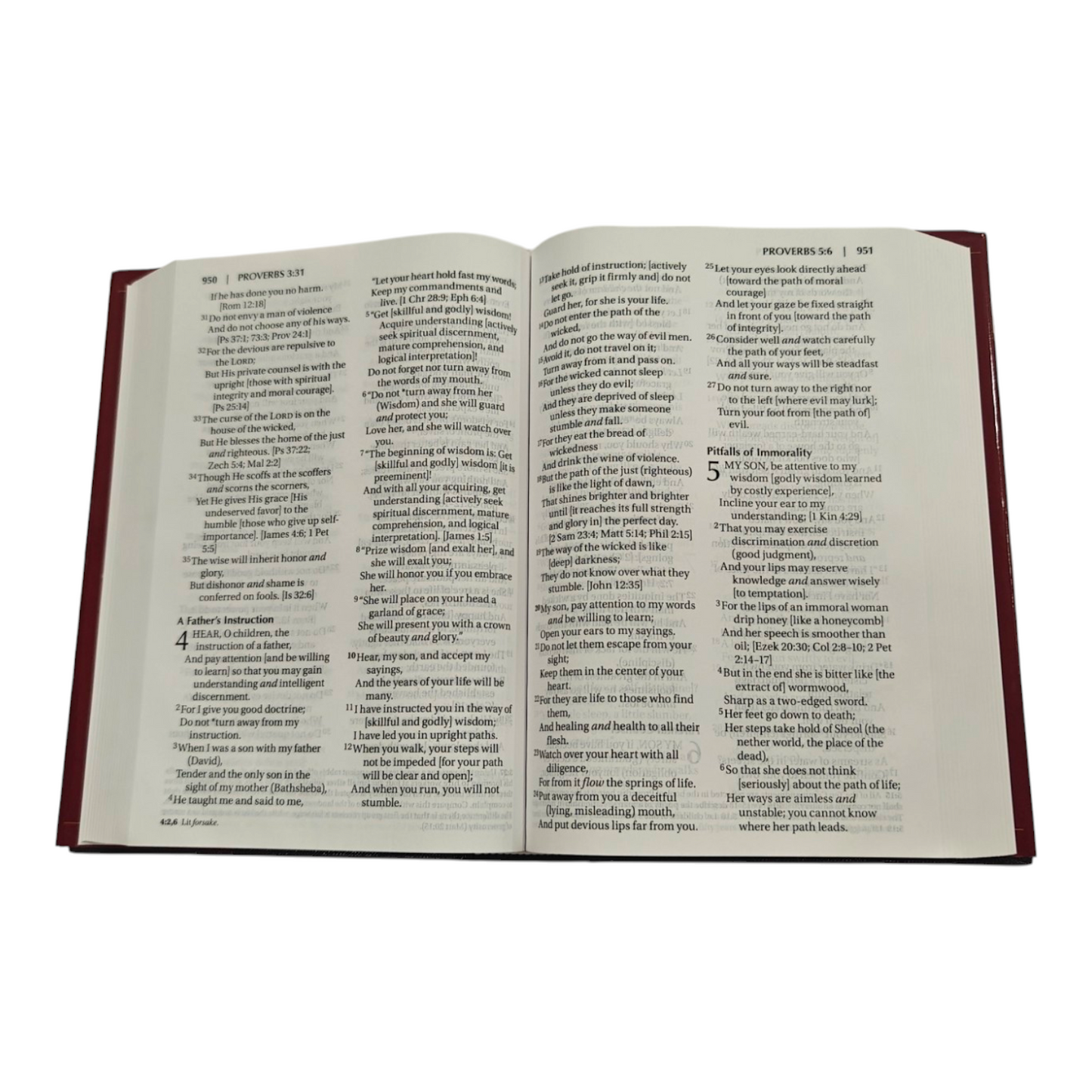 Amplified Bible (AMP) Large Print Brown Bible for Study and Devotion | English Bible, Holy Bible