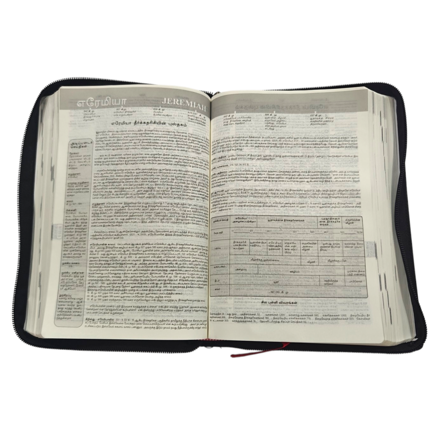 Daniel Tamil Reference Bible, Leather-Bound Tamil Study Bible with Cross-References, Book Prefaces & Golden Edges (Old & New Testament, 1860 Pages)