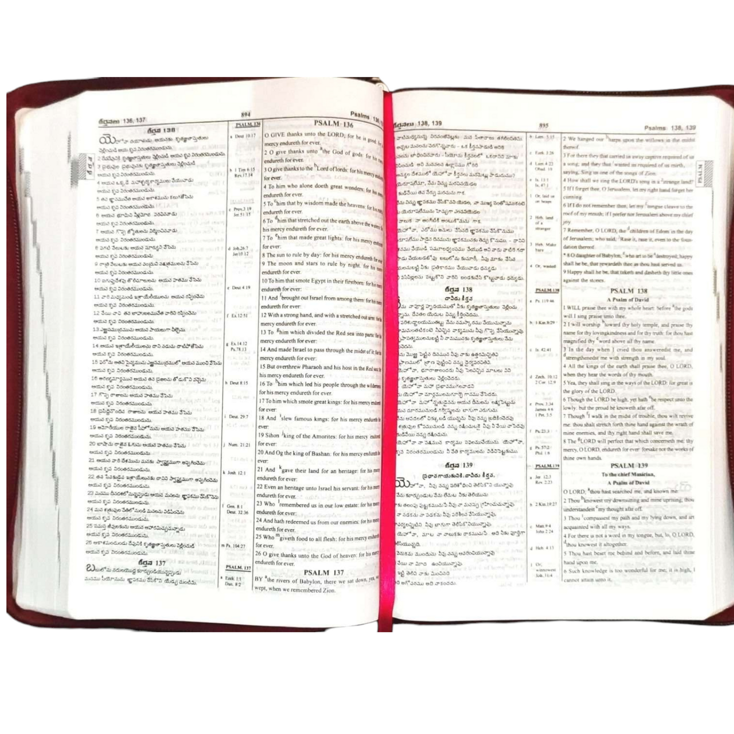 Telugu-English Parallel Bilingual Study Bible, Maroon Zip Cover, KJV Telugu & English Side-by-Side with Center References, Book Introductions &
