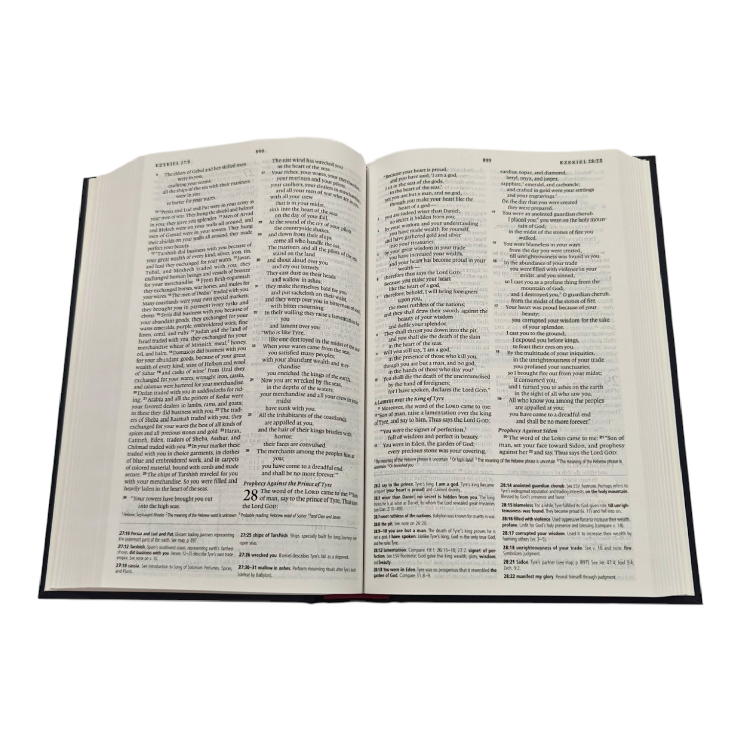 ESV Concise Study Bible, 12,000+ Study Notes, 150+ Maps & Charts, Book Introductions, Compact Portable Study Bible (English Standard Version) |
