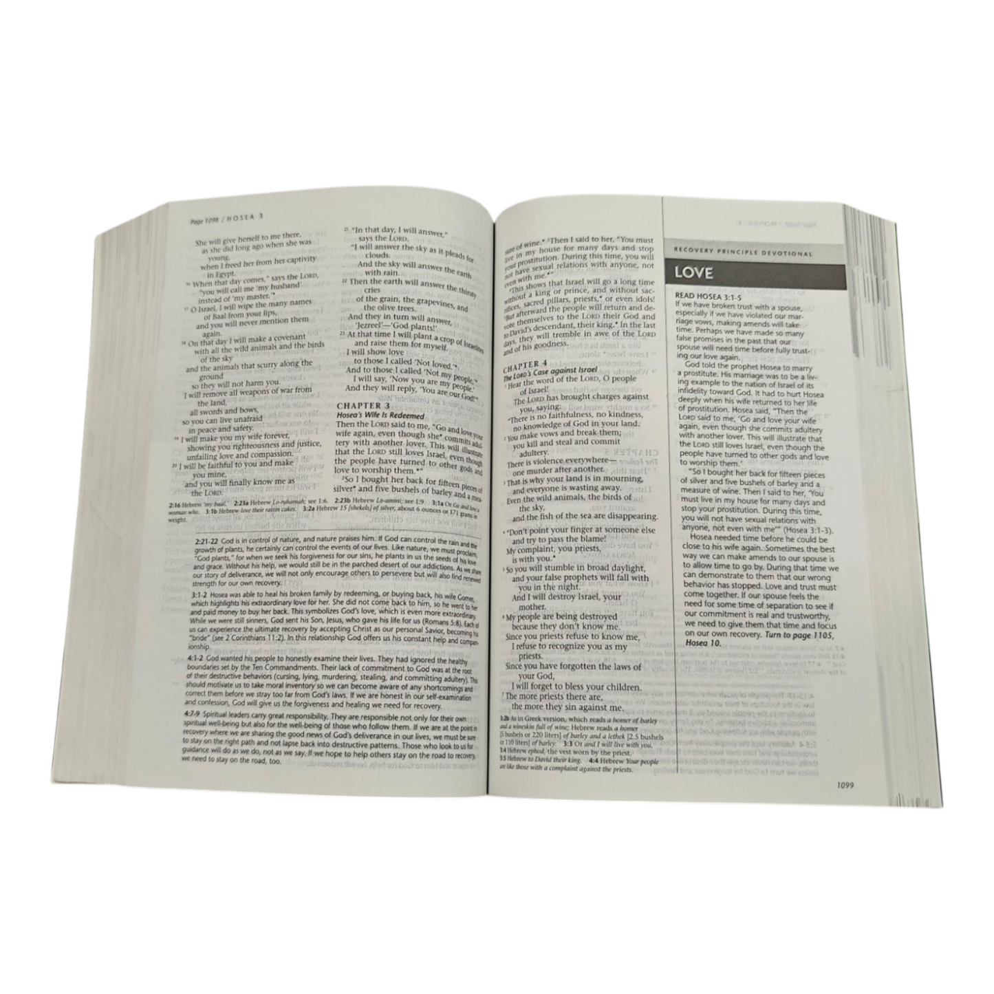 NLT Life Recovery Bible, Second Edition, 12-Step Recovery Study Bible with 84 Devotionals, Recovery Notes & Meeting Guide (New Living Translation)