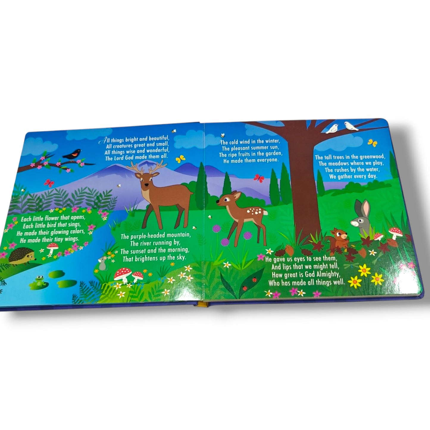 My First Bible Stories | Children's Bible Stories, Bible Story Book | English Christian Book