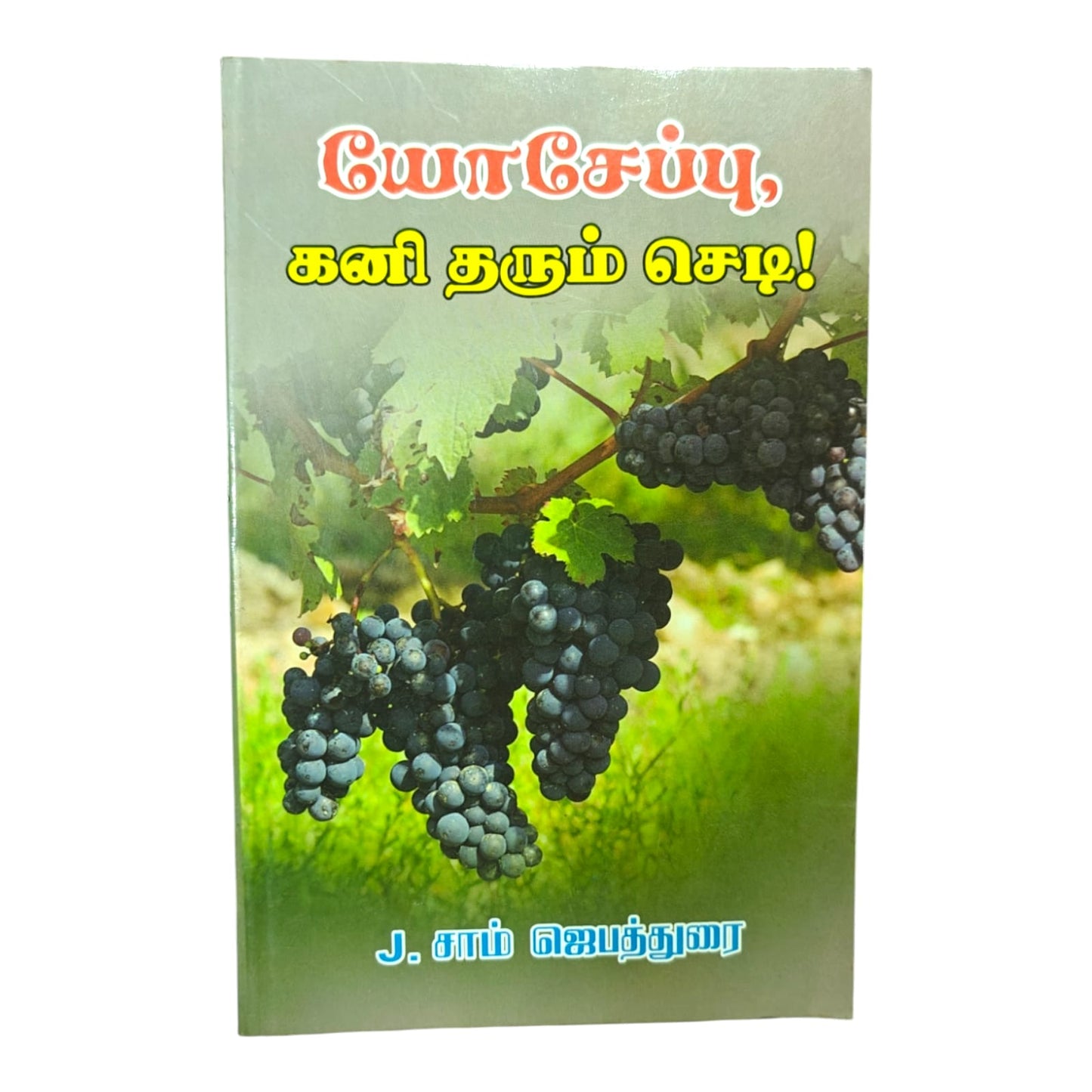 யோசேப்பு, கனி தரும் செடி! | Christian Living, Spiritual Growth | Tamil Christian Book