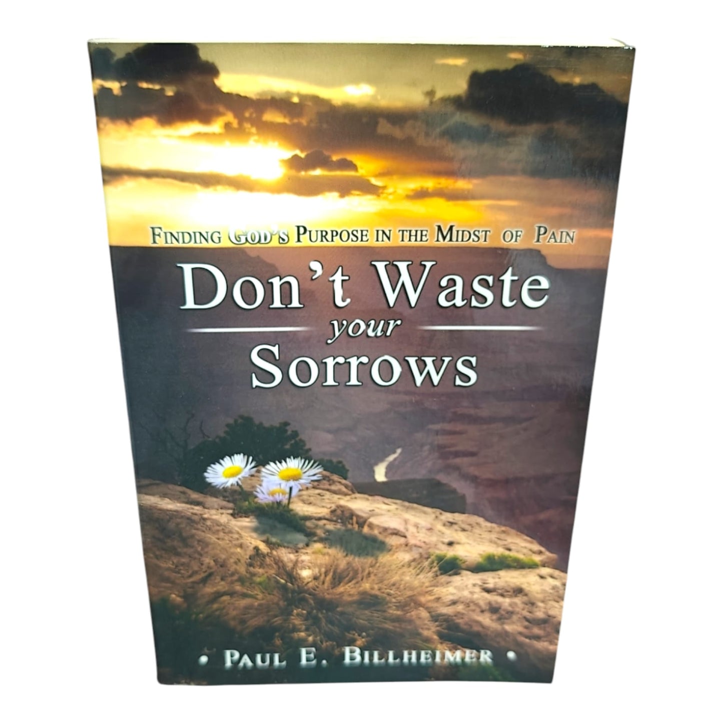 Don't Waste Your Sorrows by Paul E. Billheimer | Finding God's Purpose in the Midst of Pain | English Christian Book