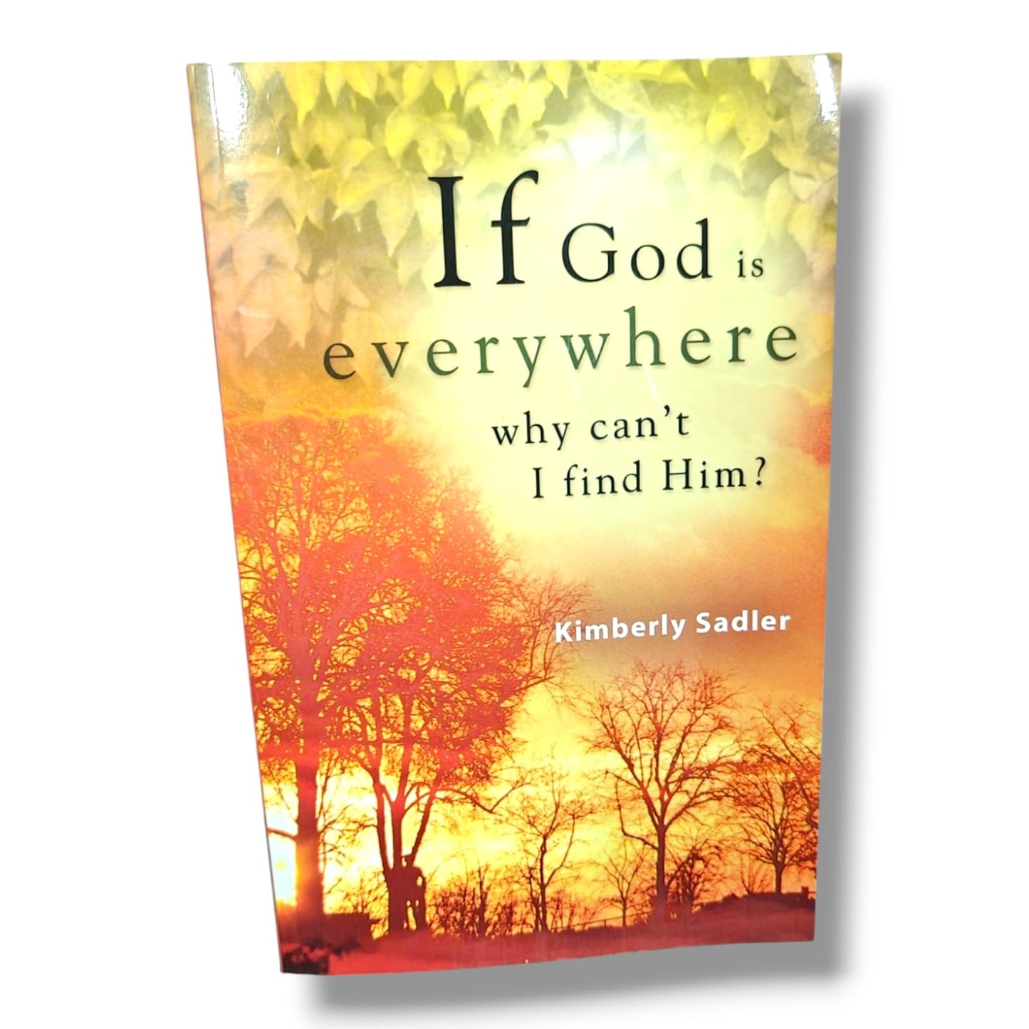 If God Is Everywhere, Why Can't I Find Him? by Kimberly Sadler | Inspirational Christian Books | English Christian Book