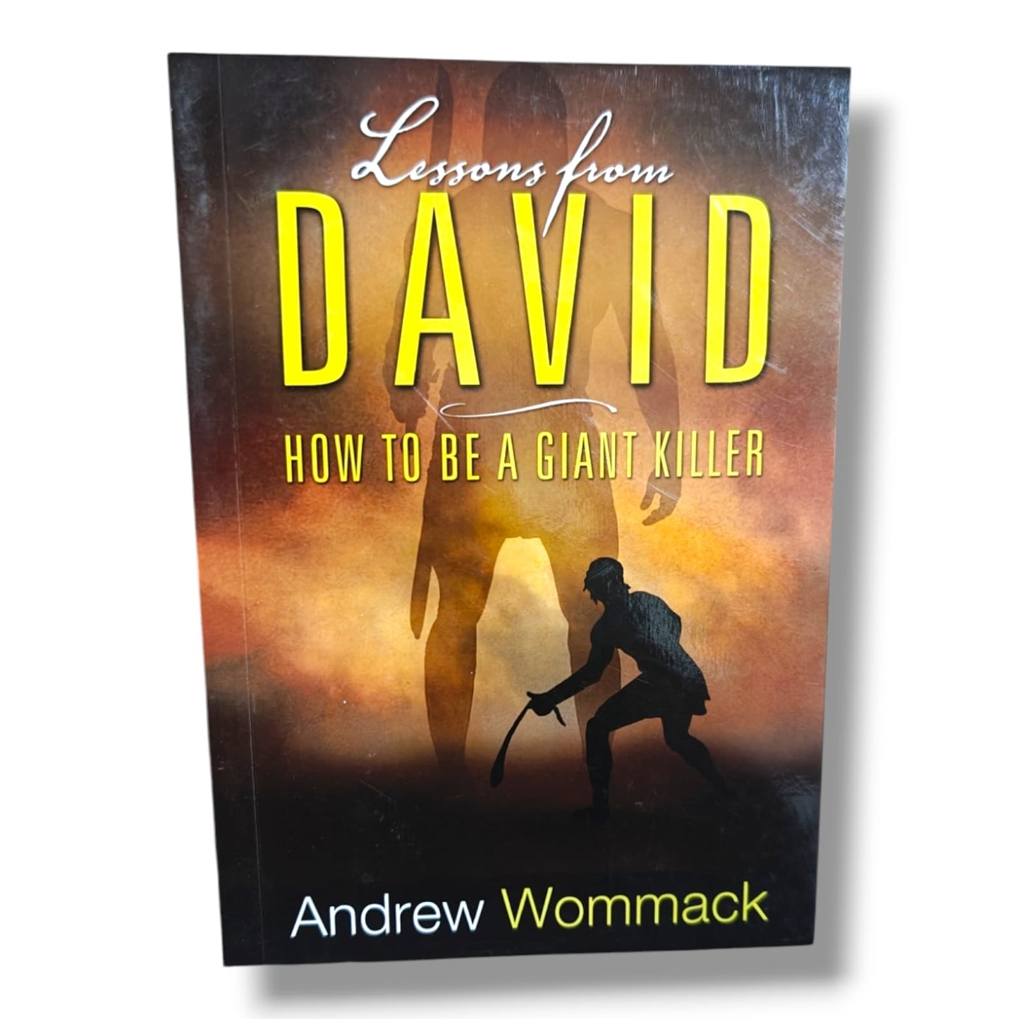 Lessons from David: How to Be a Giant Killer by Andrew Wommack | Christian Faith, Spiritual Growth & Biblical Leadership Book