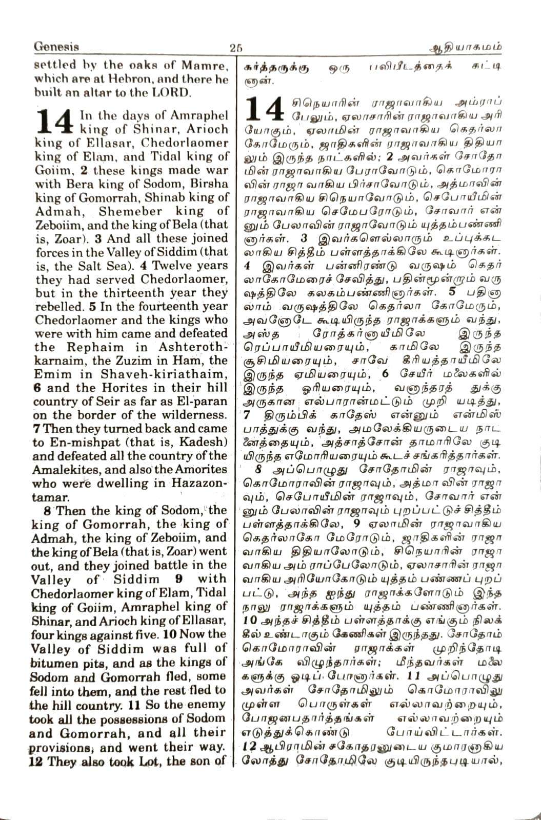 Tamil-English Parallel Bible, Large Print Edition, BSI Authorized Version, Premium Black Leather Bound, ISBN-9789393511805