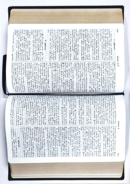 Tamil Bible - Crown Series Semi-Compact Edition, Maroon Hardcover (ISBN: 9789395622943)