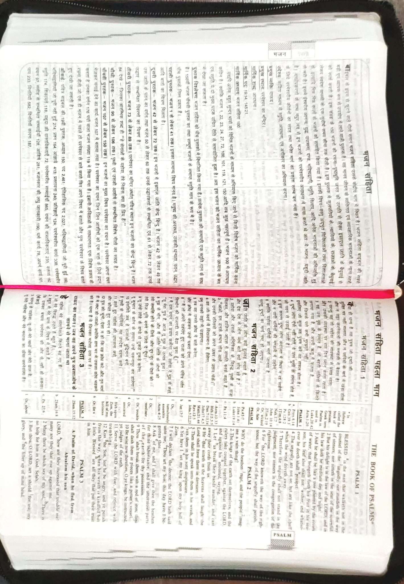 Daniel Bilingual Hindi-English Bible, Parallel Hindi & English Reference Holy Bible (All 66 Books, Side-by-Side Text) | Bilingual Bible, Parallel