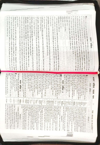 Daniel Bilingual Hindi-English Bible, Parallel Hindi & English Reference Holy Bible (All 66 Books, Side-by-Side Text) | Bilingual Bible, Parallel