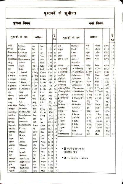 Daniel Bilingual Hindi-English Bible, Parallel Hindi & English Reference Holy Bible (All 66 Books, Side-by-Side Text) | Bilingual Bible, Parallel