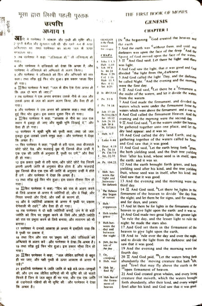 Daniel Bilingual Hindi-English Bible, Parallel Hindi & English Reference Holy Bible (All 66 Books, Side-by-Side Text) | Bilingual Bible, Parallel
