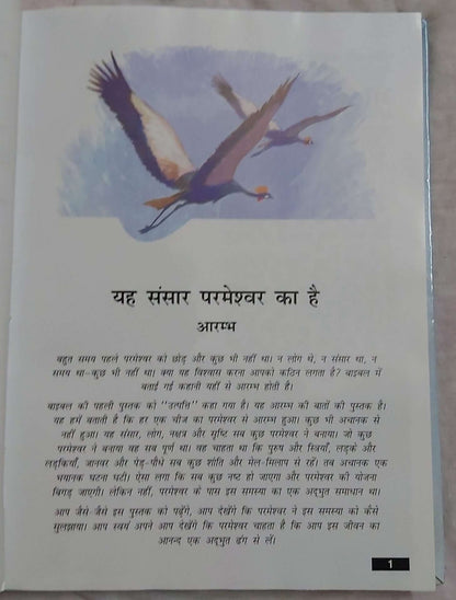 The Holy Hindi Children’s Bible , Bible Children’s , Jesus Storybook Bible , Hardcover | Kids Bible, Children's Bible | Hindi Holy Bible
