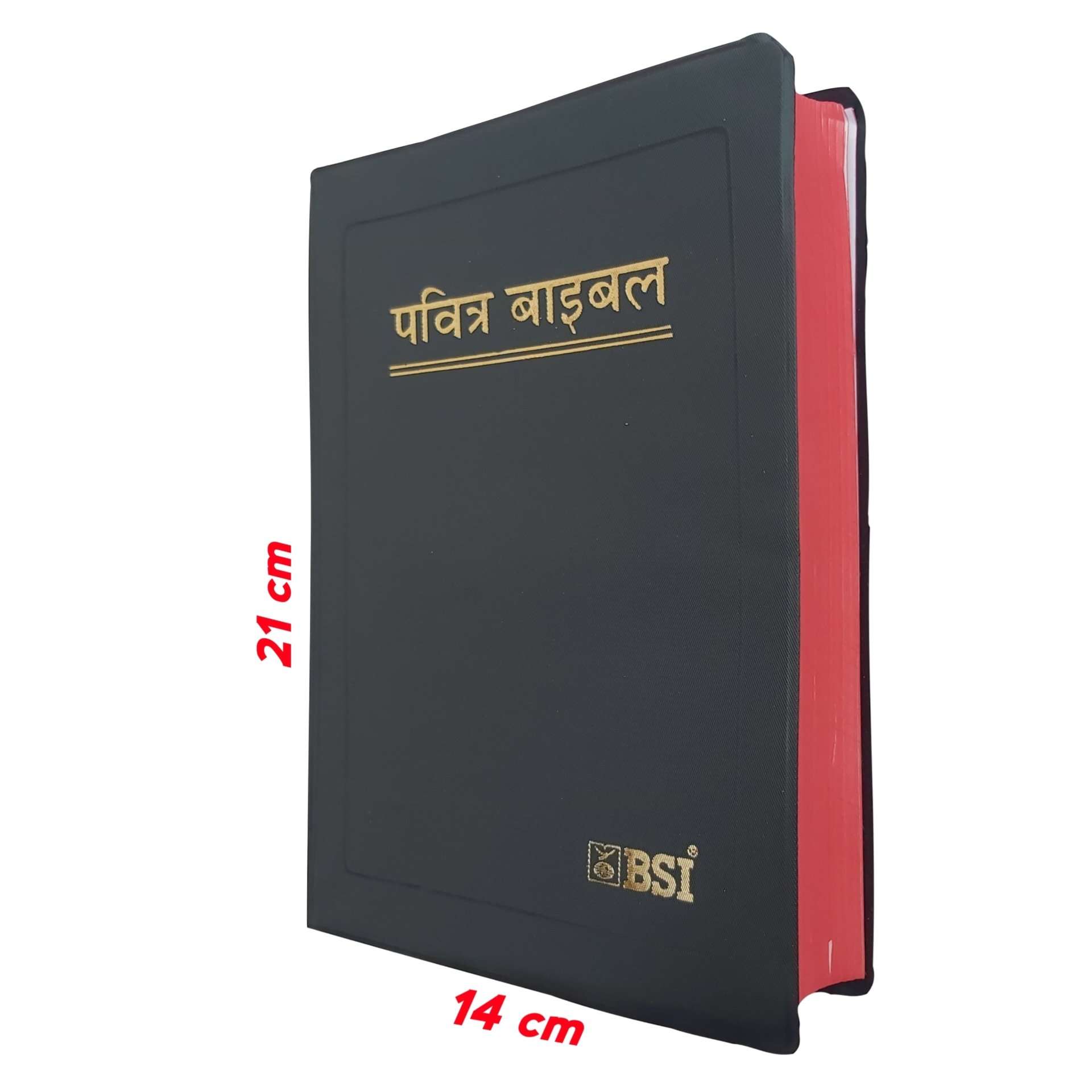 Holy Hindi Bible BSI  | Medium Size | Pavitra Bible In Hindi | New Edition  - THE CHRISTIAN GALLERY