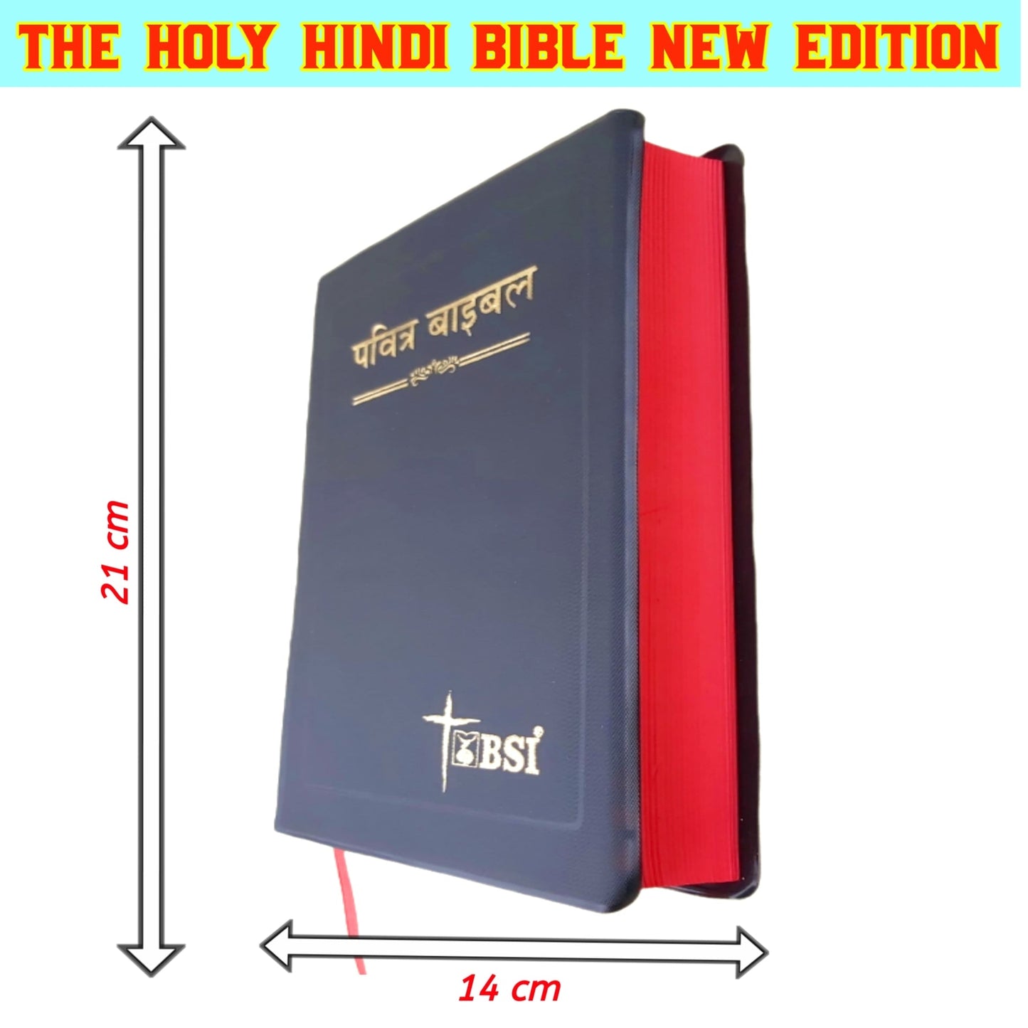 The Holy Bible Hindi New Edition  - THE CHRISTIAN GALLERY