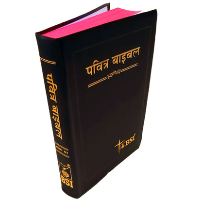 The Holy Bible Hindi New Edition  - THE CHRISTIAN GALLERY