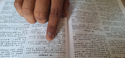 Tamil Holy Bible O.V. Golden Edge Hardcover. Royal