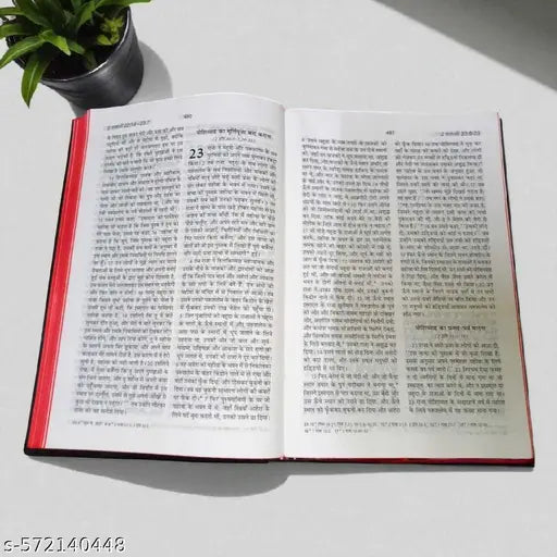 Holy Hindi Bible - BSI Edition - Paper Bound Pavitra Bible