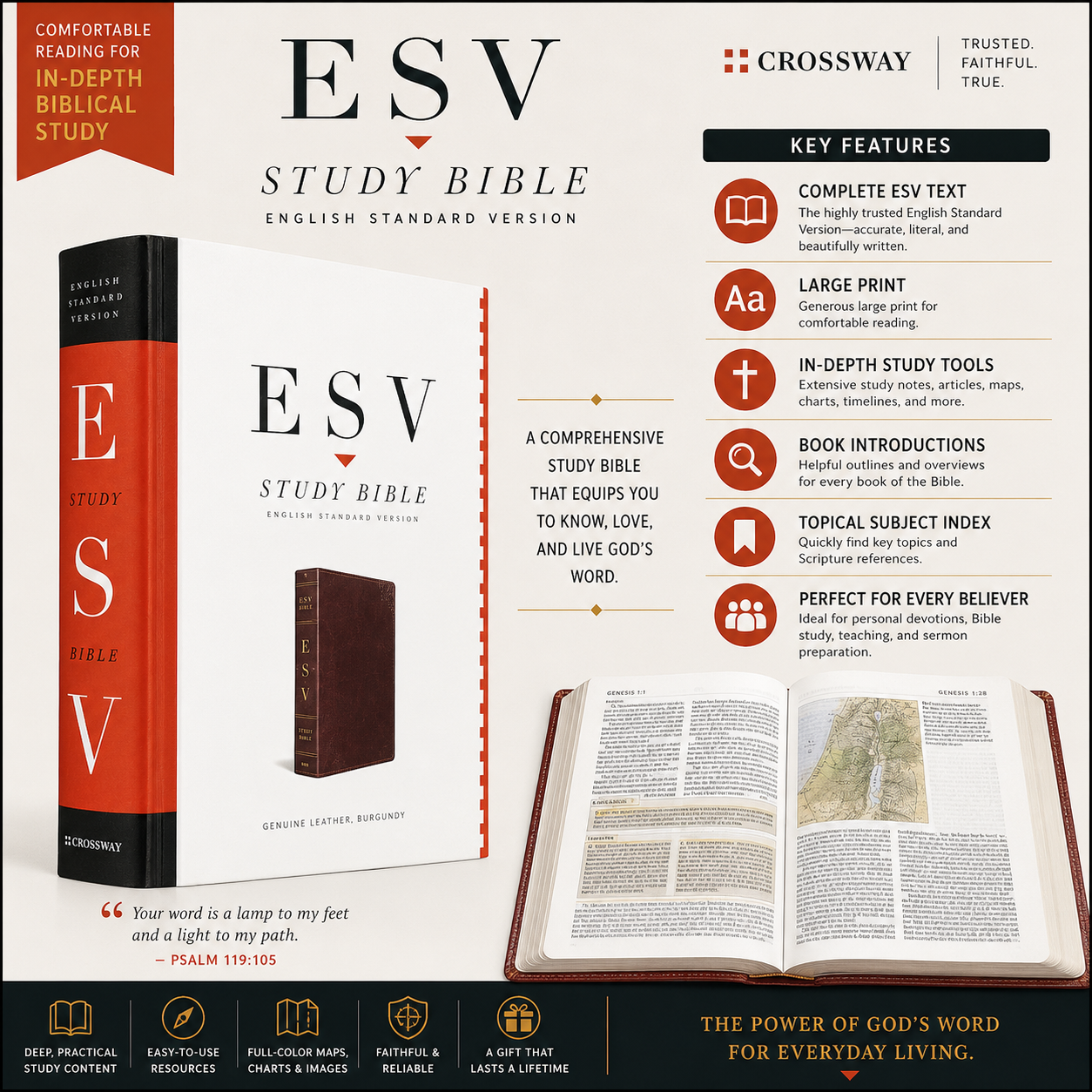 ESV Study Bible | Study Bible, Reference Bible | Holy Bible