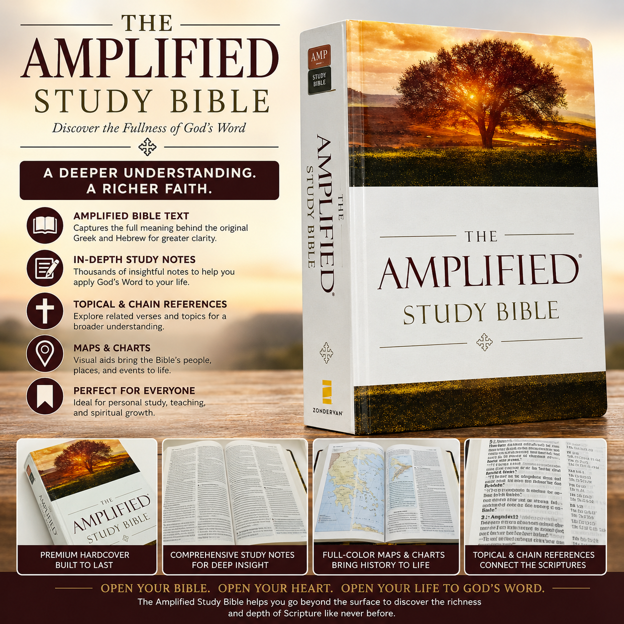 The Amplified Study Bible (AMP), 5,000+ Study Notes & Expanded Word Meanings (Zondervan) | Study Bible, Reference Bible | Holy Bible