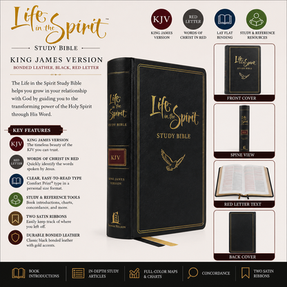 KJV Life in the Spirit Study Bible - Bonded Leather, Black, Red Letter (Thomas Nelson) | Study Bible, Reference Bible | Holy Bible