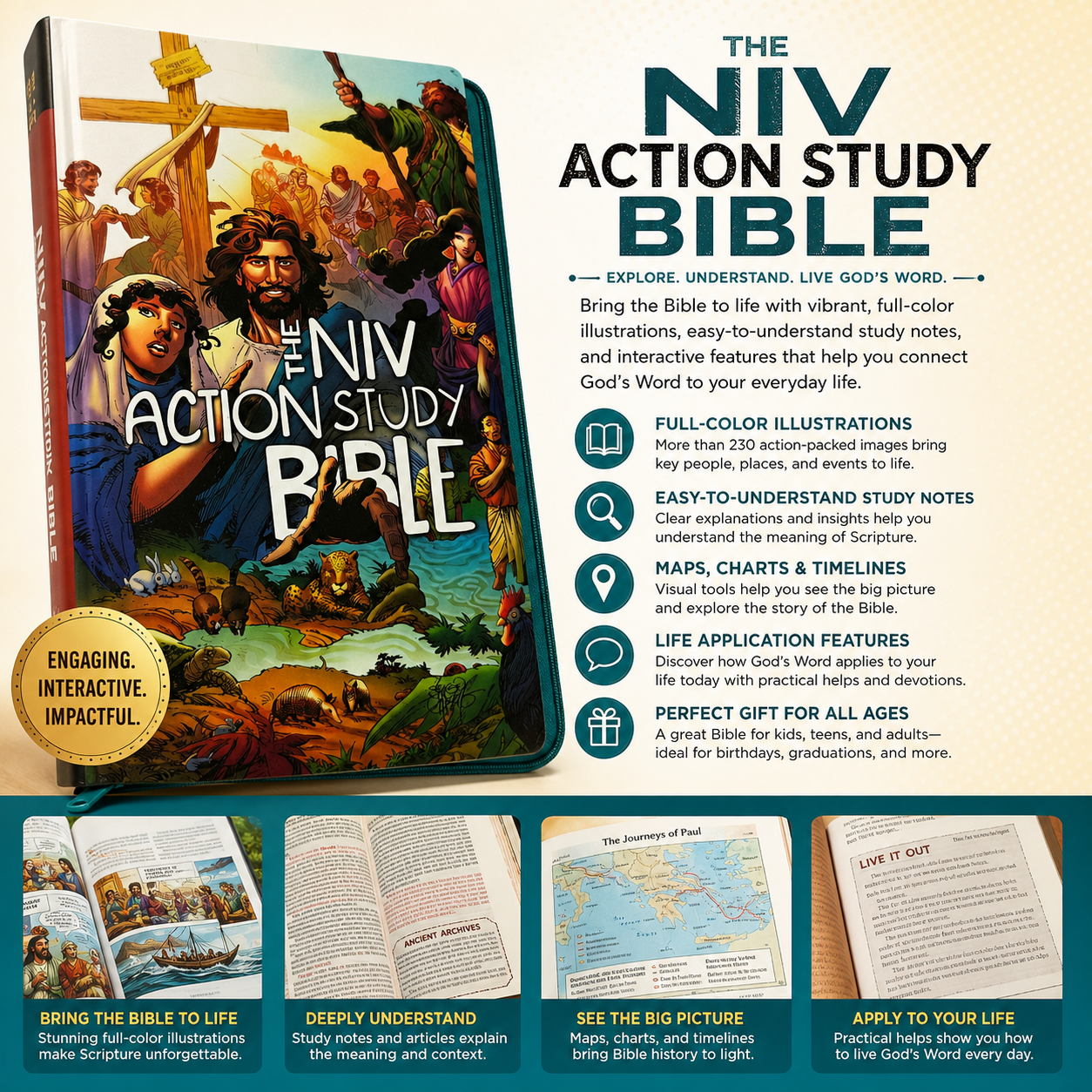 The NIV Action Study Bible | Study Bible, Reference Bible | Holy Bible
