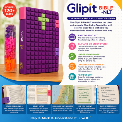 Glipit Bible NLT | English Bible, Holy Bible