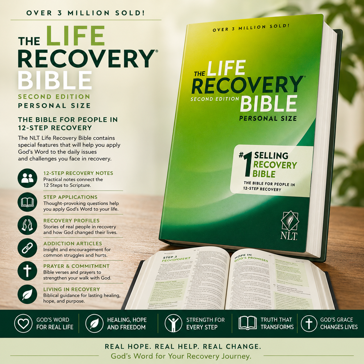 NLT Life Recovery Bible, Second Edition, 12-Step Recovery Study Bible with 84 Devotionals, Recovery Notes & Meeting Guide (New Living Translation)