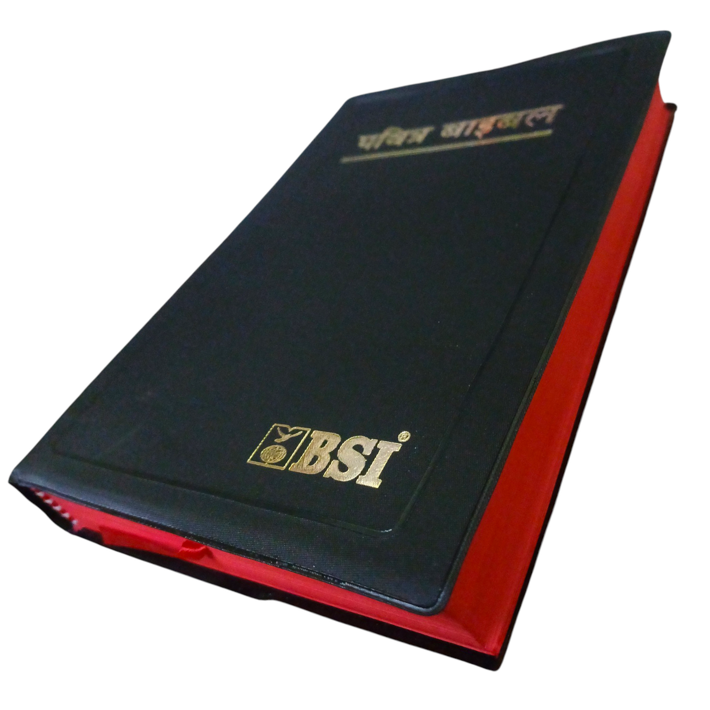 Holy Bible In Hindi | New Edition | Hindi Holy Bible
