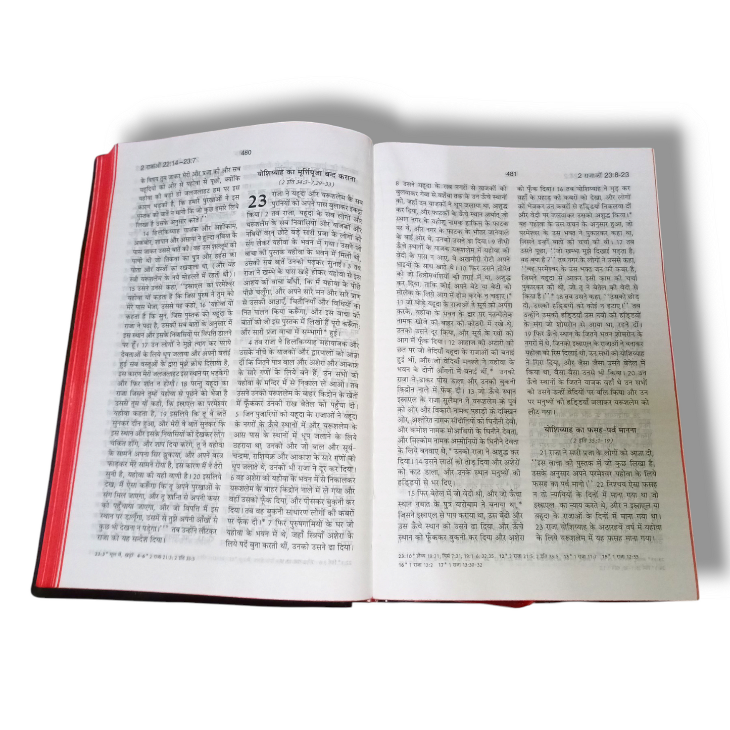 Holy Bible In Hindi | New Edition | Hindi Holy Bible