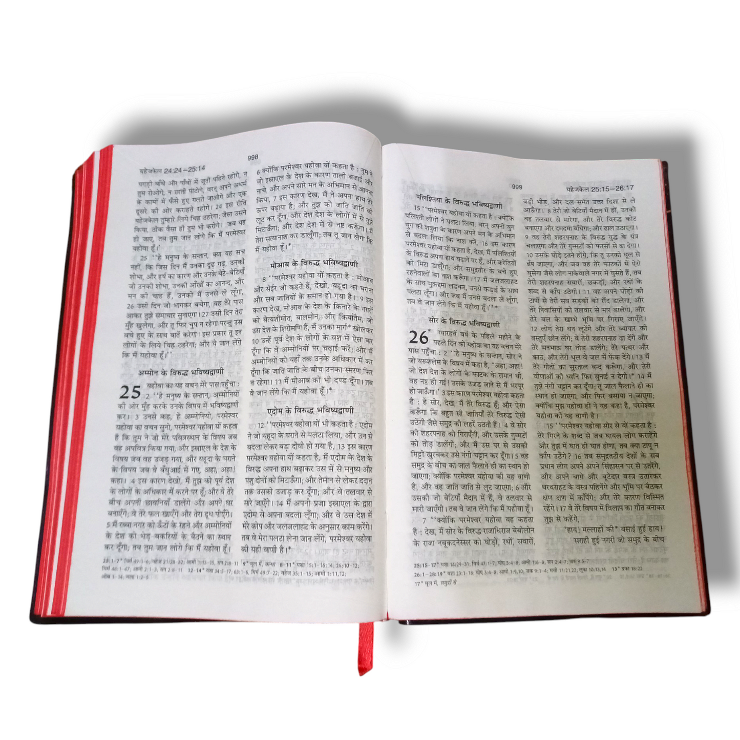 Holy Bible In Hindi | New Edition | Hindi Holy Bible
