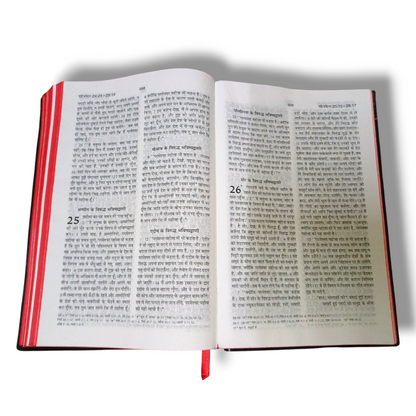 Holy Bible In Hindi | New Edition | Hindi Holy Bible