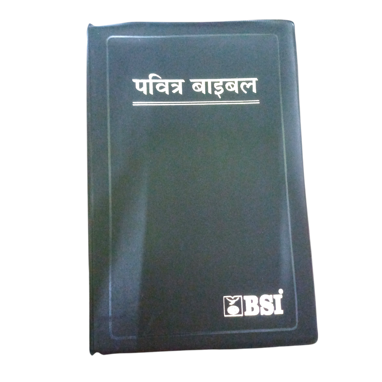 Holy Bible In Hindi | New Edition | Hindi Holy Bible